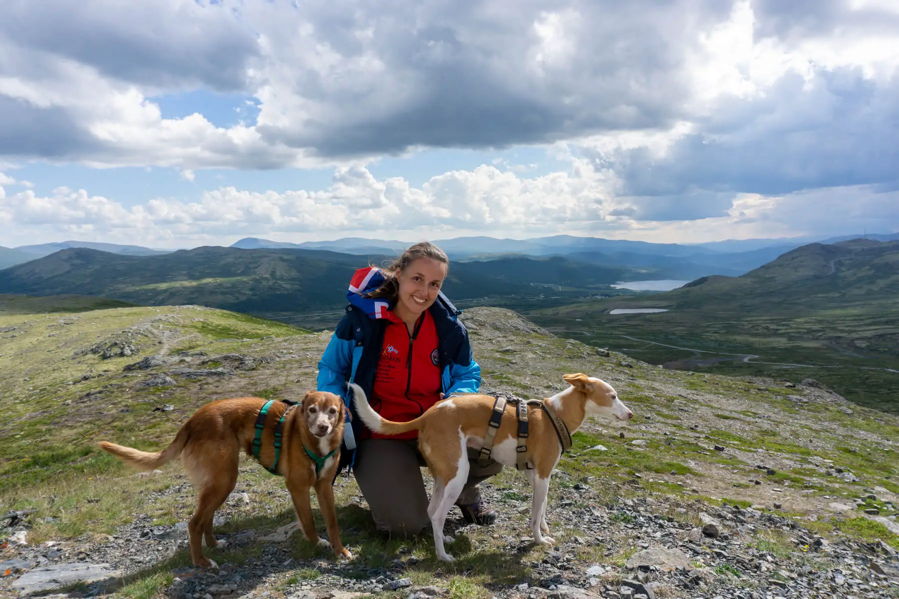 In Norwegen mit Hund