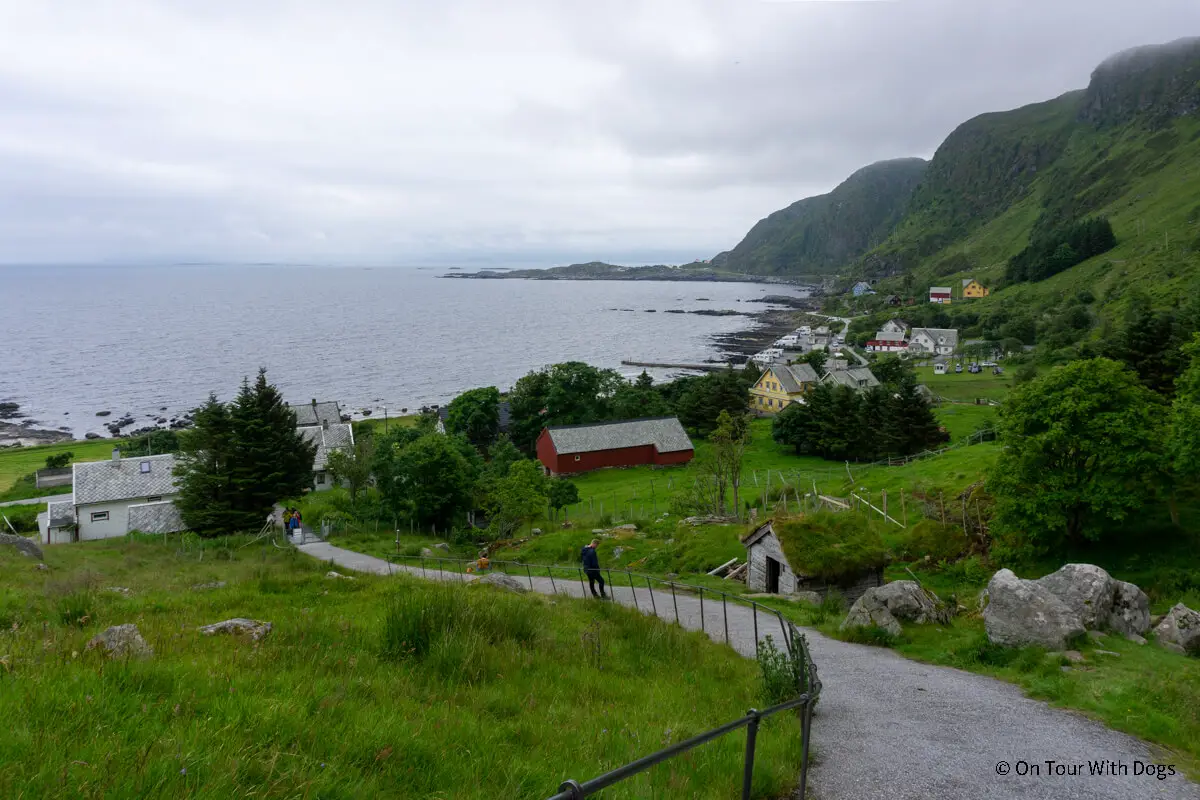 Die Vogelinsel Runde in Norwegen – Infos & Tipps