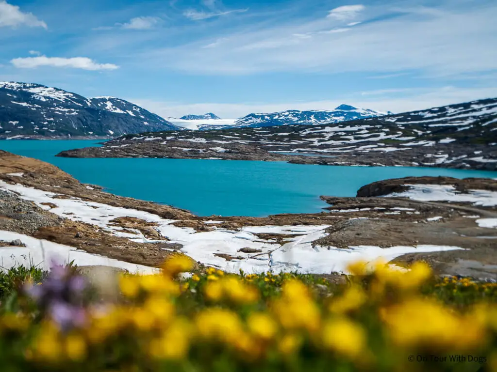 Norwegen Sehenswürdigkeiten Gletscher Svartisen