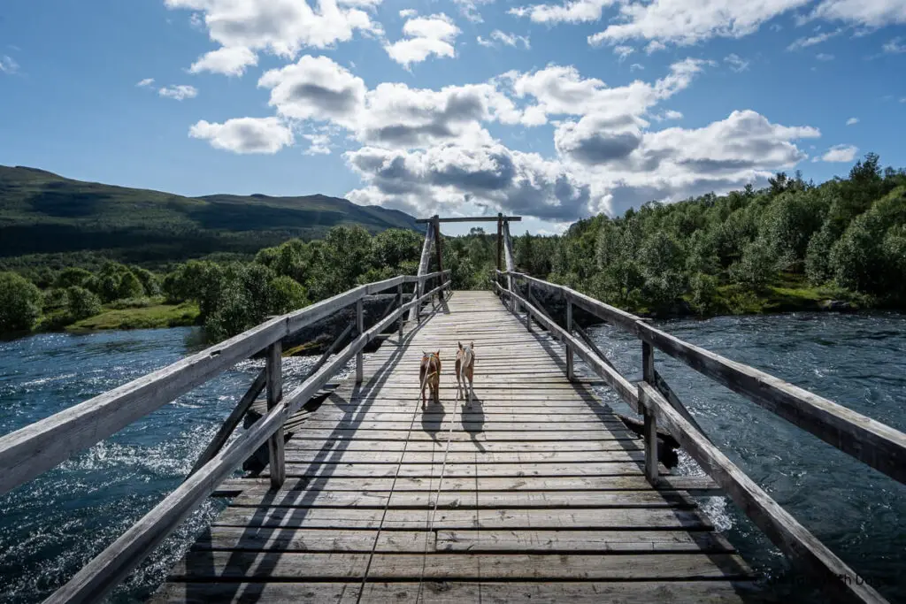 Leinenpflicht in Norwegen