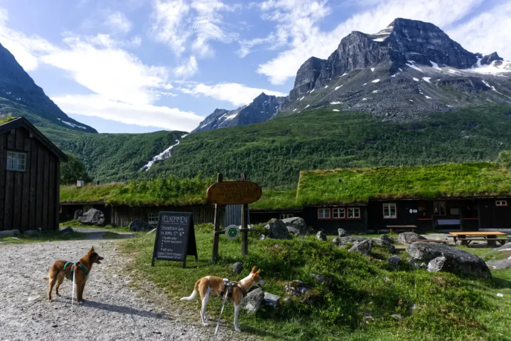 Wandern in Norwegen mit Hund im Innerdalen