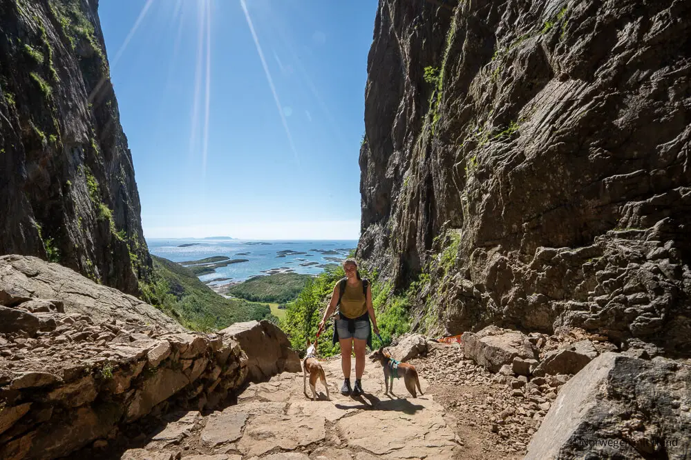 Ich mit meinen Hunden auf der Torghatten Wanderung